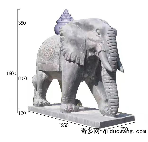 大象圖5