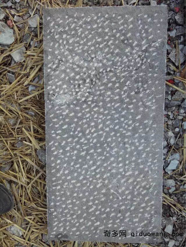 菠蘿面15