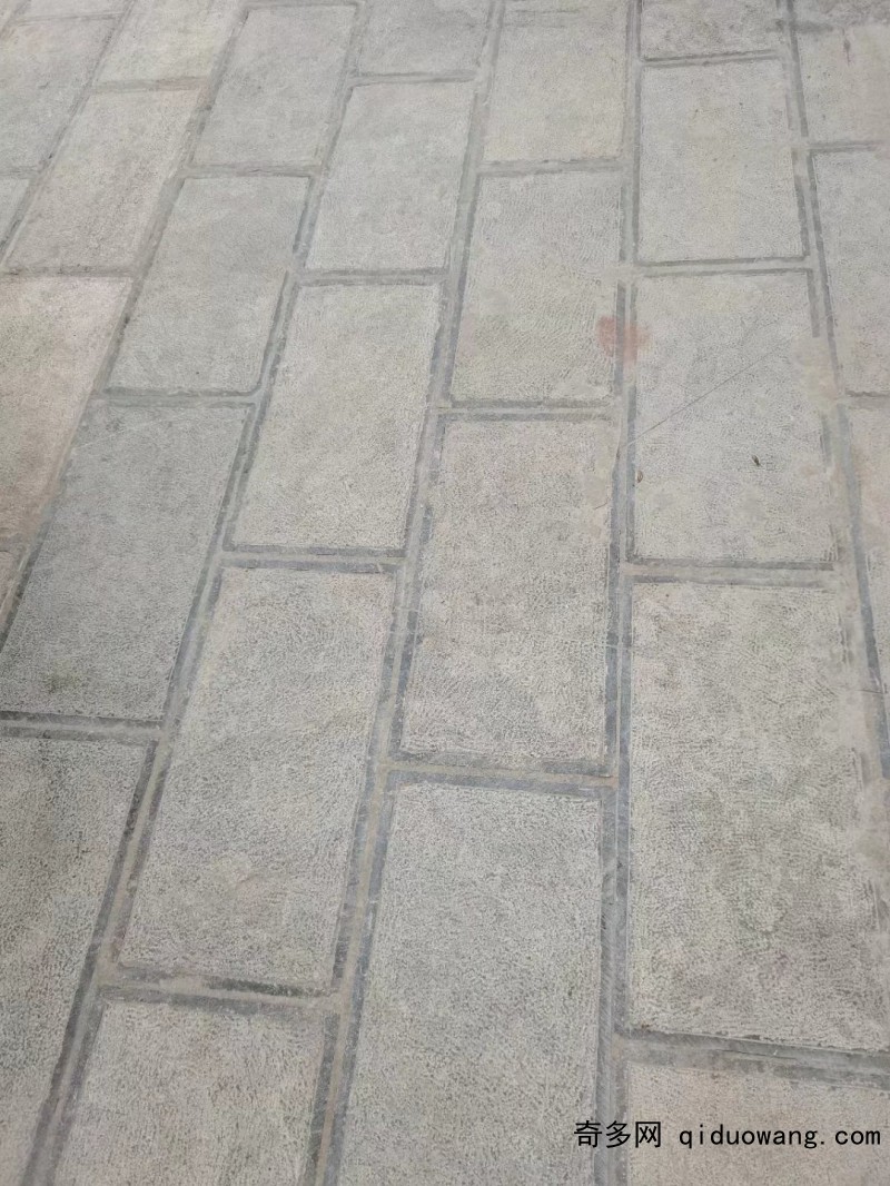 荔枝面18